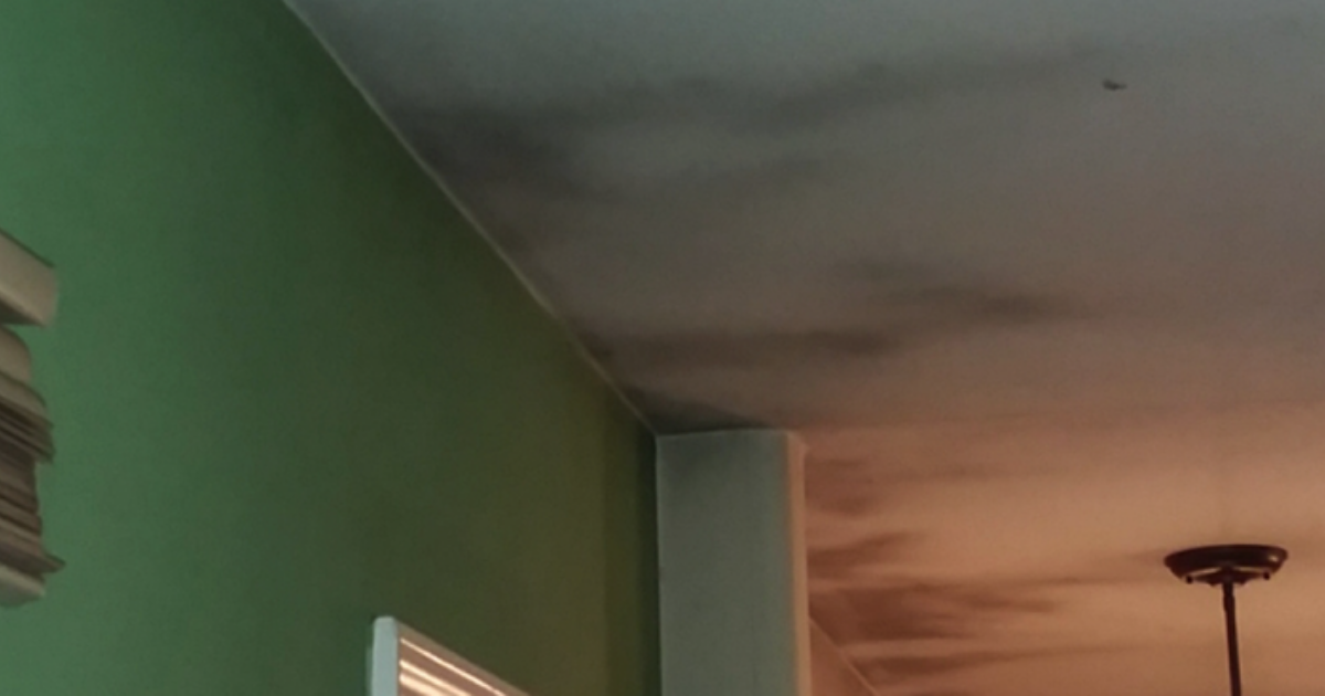 Ghosting Lines On Ceiling Shelly Lighting