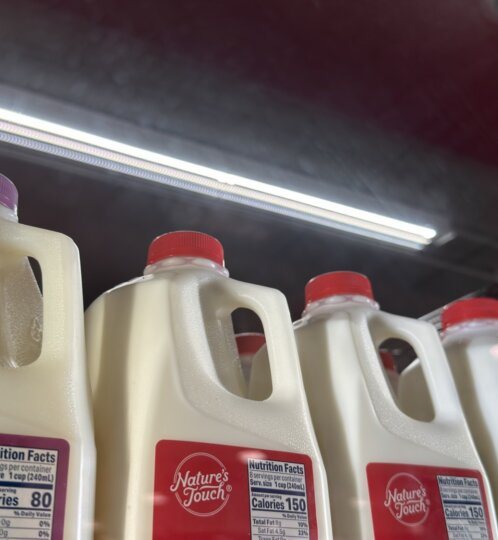 Milk in cooler