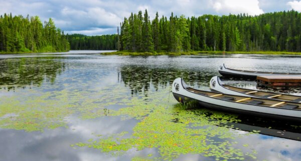 Calm lake with lily pads and reflections, dense green forest in the background; white canoes docked on the right.