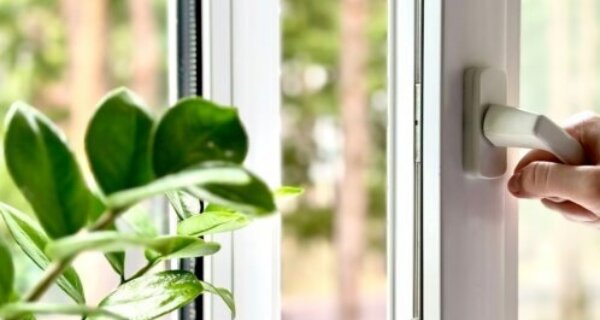 Close-up of a hand turning a white window handle; a green leafy plant sits by the glass, with a blurred outdoor scene beyond.