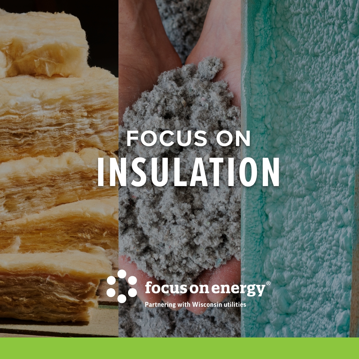 Focus on Insulation