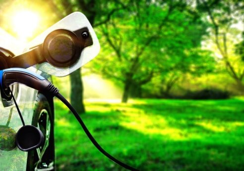 Close-up of an electric car charging port with a plugged-in cable, set against a sunlit green park background.