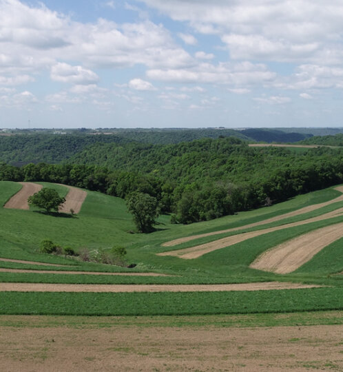 Aerial view of rolling farmland with curved green and brown crop strips, scattered trees, and distant barns under a partly cloudy blue sky.