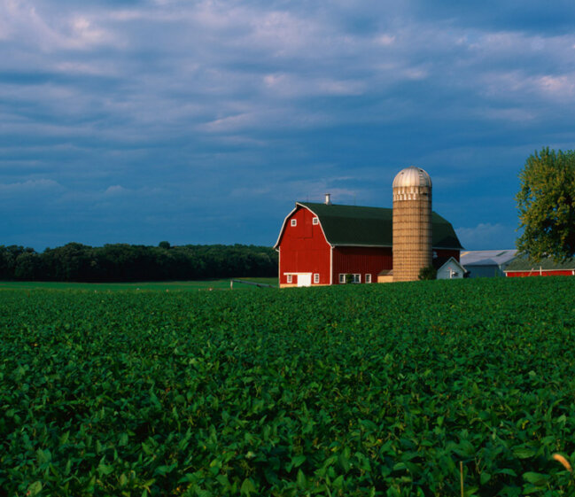 Wisconsin farm