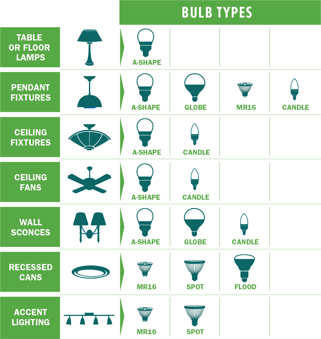 Lightbulb Types Graphic