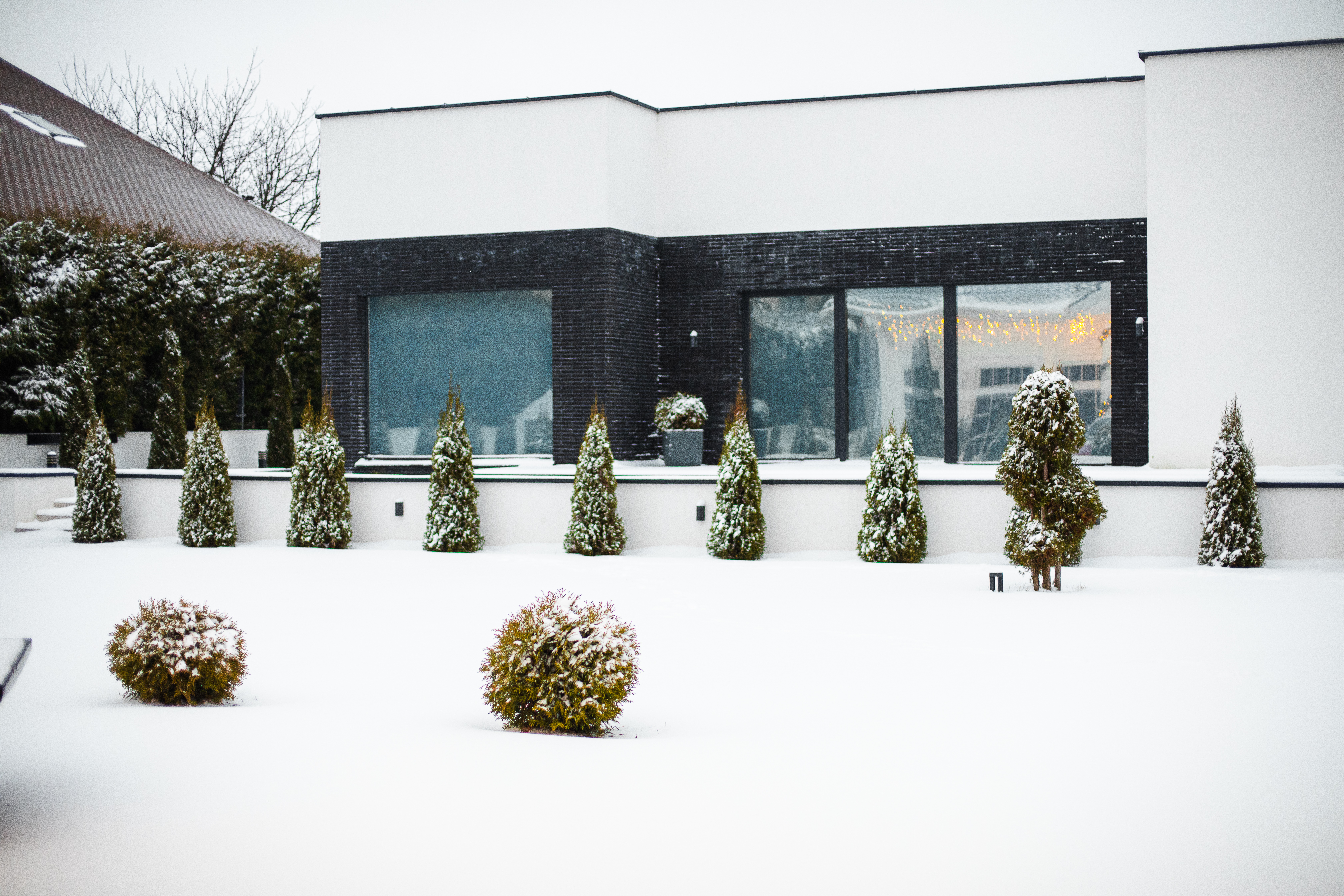 Snow and Home
