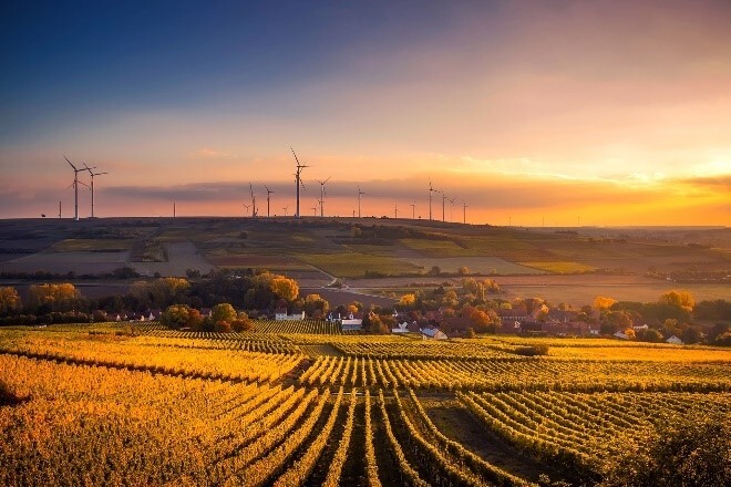 Sunset Behind Windmill Farm