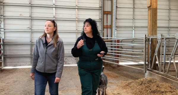 Two people walk in a barn with hay on the floor and metal gates; one wears a gray jacket and jeans, the other in green overalls, a small dog nearby.