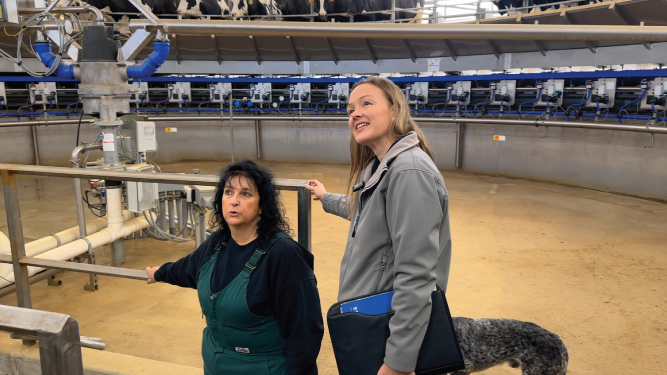 Let an Energy Advisor quarterback your energy team