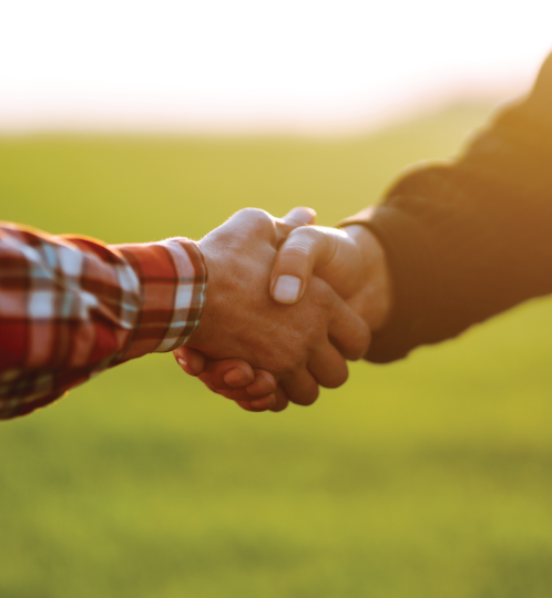 Two people shake hands in a sunlit field; one wears a plaid shirt, the other a dark sweater, with warm evening light.