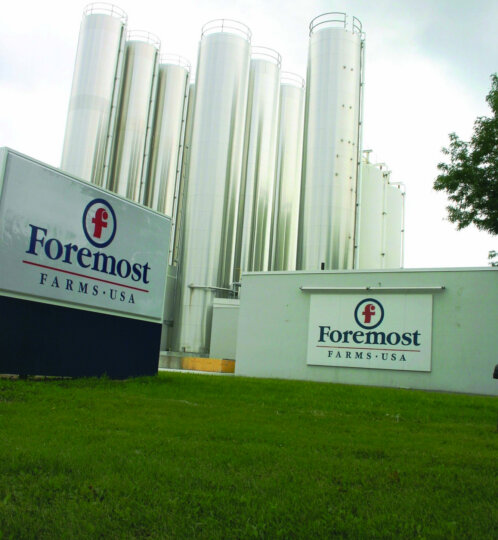 Row of tall white silos at a Foremost Farms USA facility, with company signs on white buildings and a green lawn in the foreground.