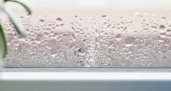 Close-up of a foggy window pane covered in many water droplets; a plant leaf appears on the left.