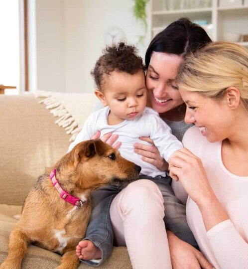 Residential Family Rebates