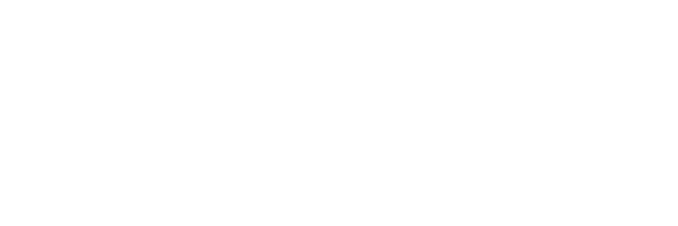Logo - Focus on Energy - White