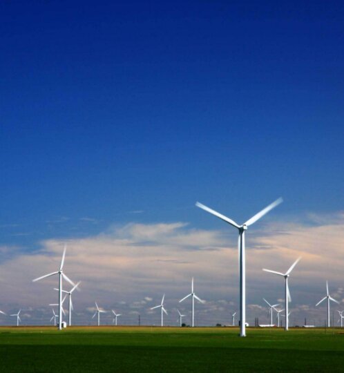 wind farm