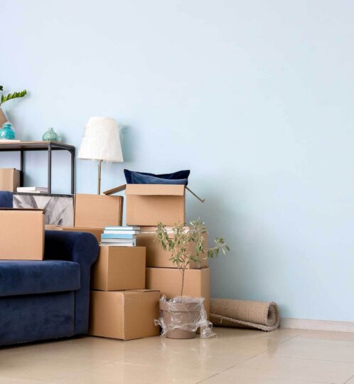 moving day boxes