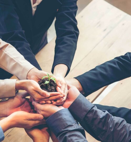 team working sustainably