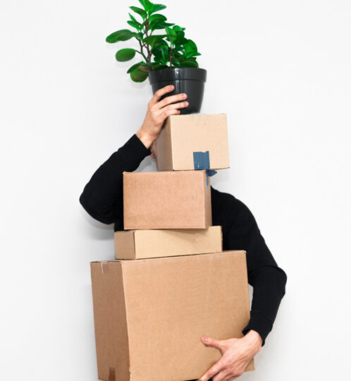 moving boxes