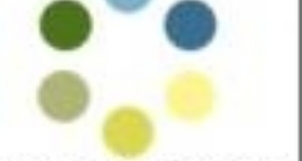 Logo with scattered blue, green, and yellow circles forming a diagonal cluster, and the text "focus on energy".